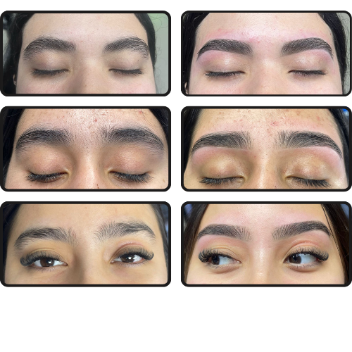Light Brows - San Nicolas